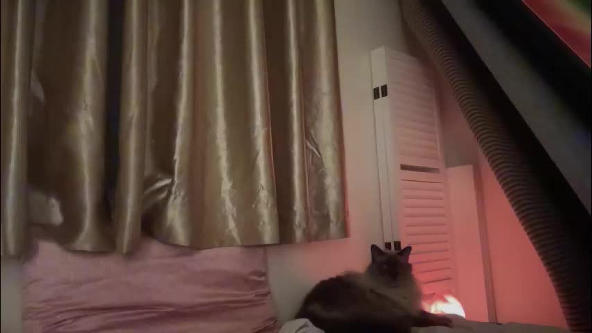 _chelsea___ Live Sex December 13, 2025