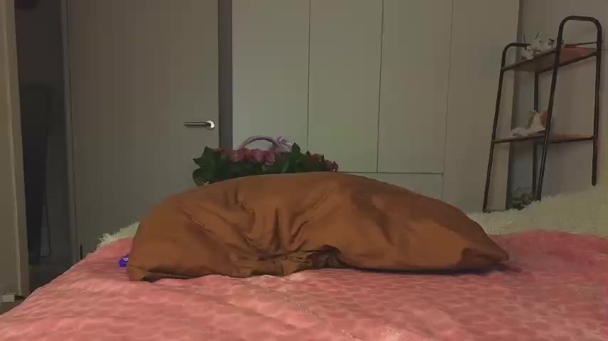 lili-roze Live Sex December 13, 2025