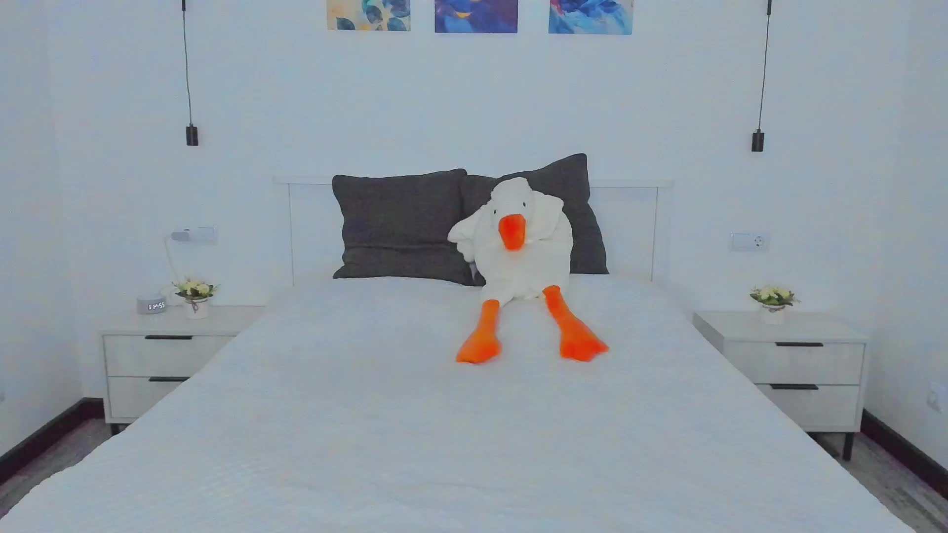 Sunbeam Live Sex 2025.12.05