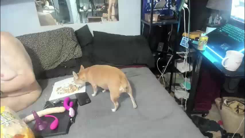 pink_black Live Sex December 15, 2025