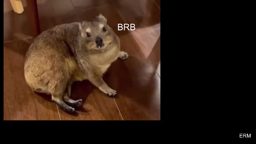 wyvernwench Live Sex December 5, 2025