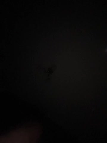 KisaZlo Live Sex December 4, 2025