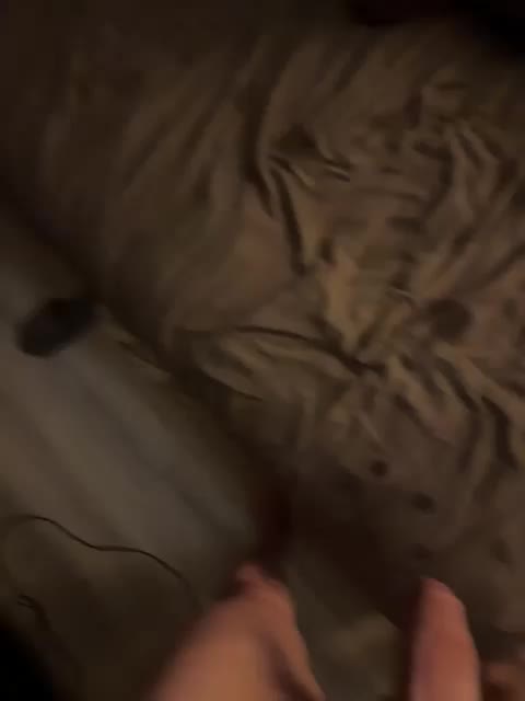 ParraTigroff Live Sex December 14, 2025