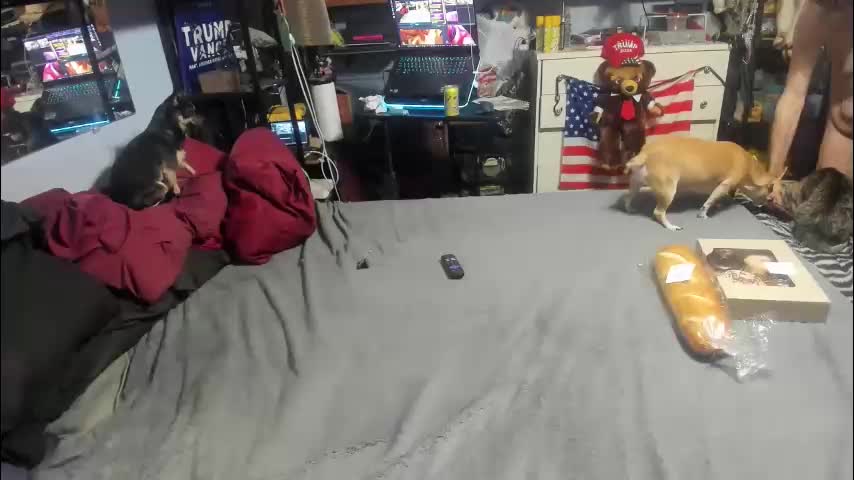 pink_black Live Sex December 15, 2025