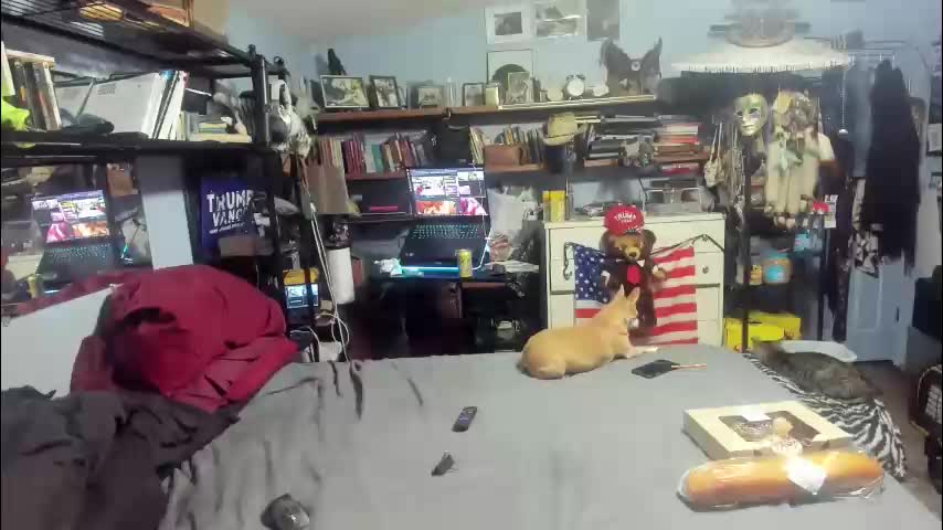 pink_black Live Sex December 15, 2025