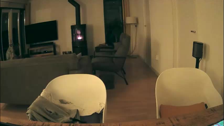 woodwurm Live Sex December 15, 2025