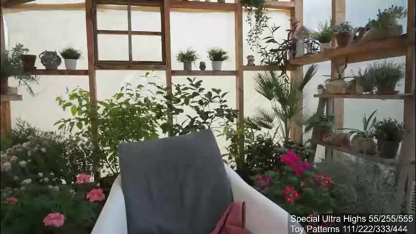 yournaughtypixie Live Sex December 13, 2025