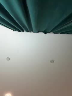 Ellidi Live Sex December 13, 2025