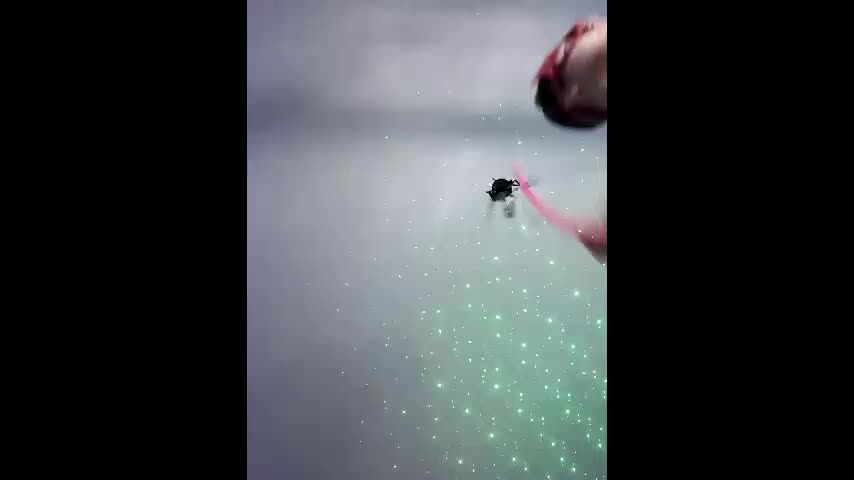 misisssex Live Sex December 7, 2025