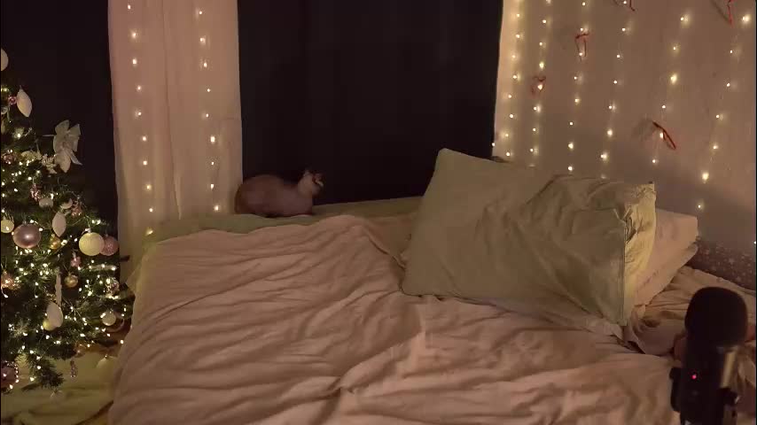 fuckingtoy_ Live Sex 2025.12.07