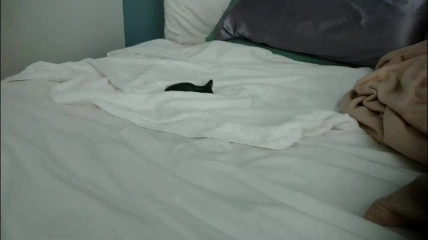 kate4unow Live Sex December 14, 2025