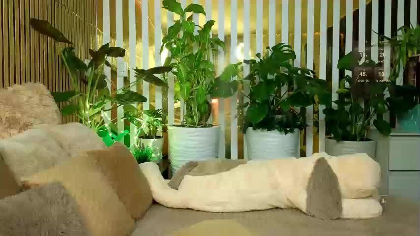 FlowwwerGirl Live Sex December 13, 2025