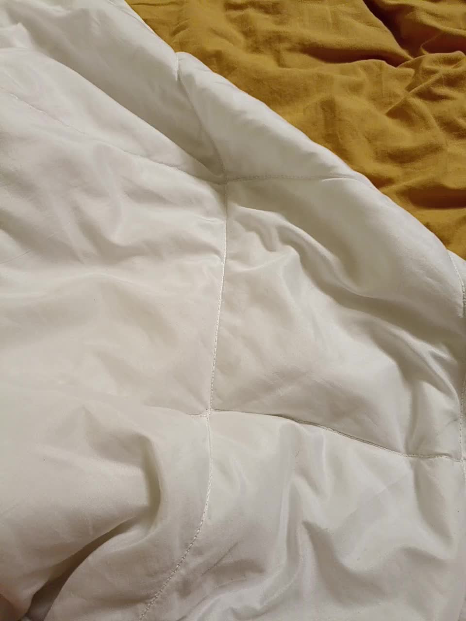 GSNAMI Live Sex December 12, 2025