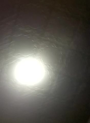 Greta_Tamar Live Sex December 8, 2025