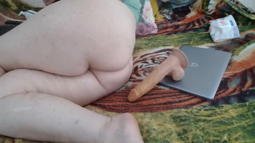 MILAax Live Sex December 14, 2025