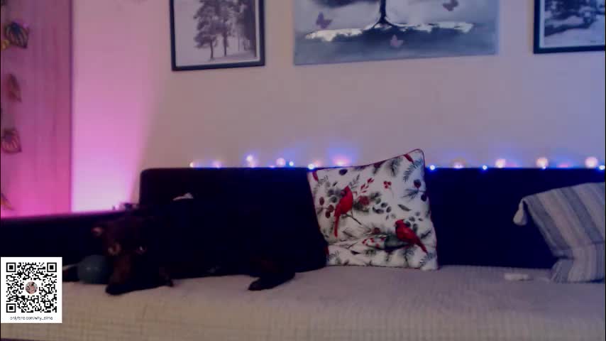 prettyalmaa Live Sex December 13, 2025