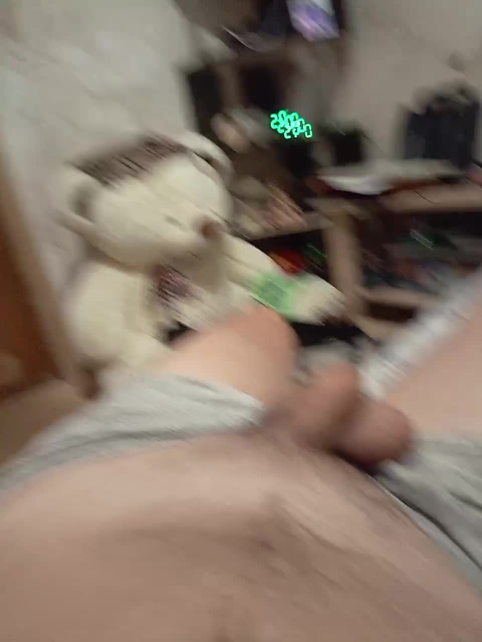 Schastlivchik10 Live Sex December 13, 2025