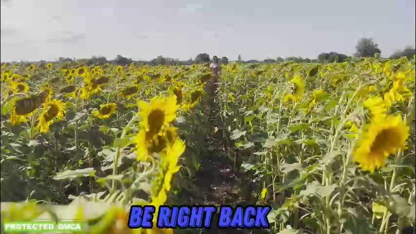 sunflower0907 Live Sex December 8, 2025