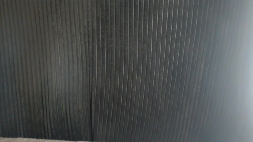 1BECHA1 Live Sex December 13, 2025