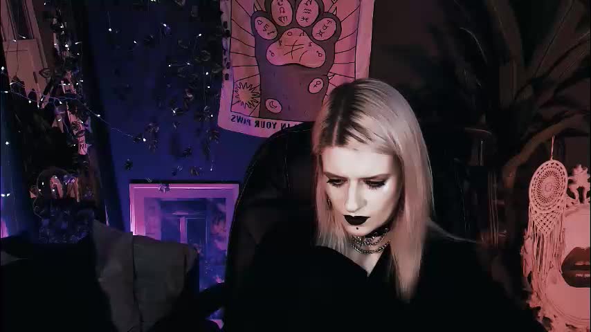 noah_elmer Live Sex 2025.12.09