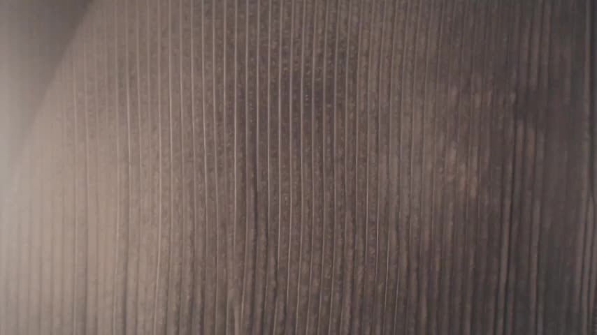 1BECHA1 Live Sex December 13, 2025