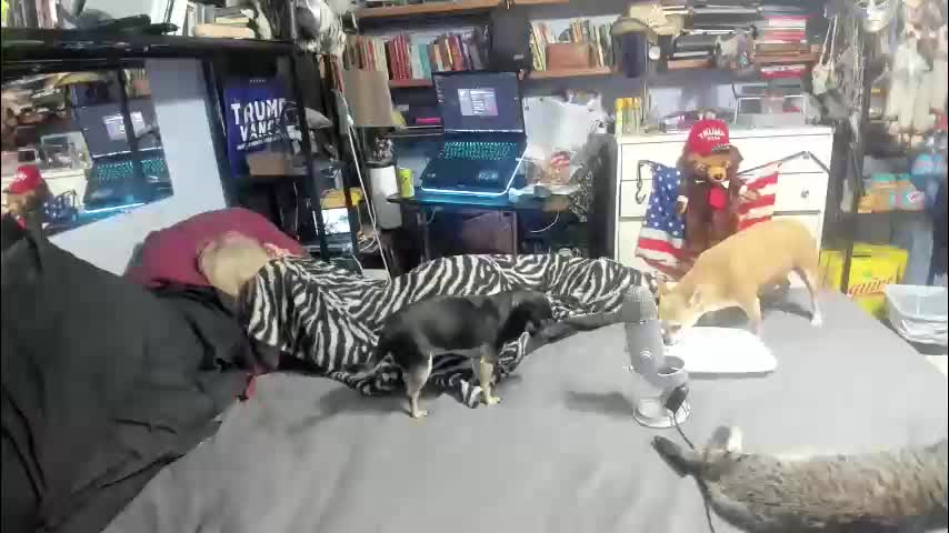 pink_black Live Sex December 12, 2025