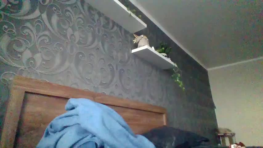 Baby_Mon Live Sex December 9, 2025