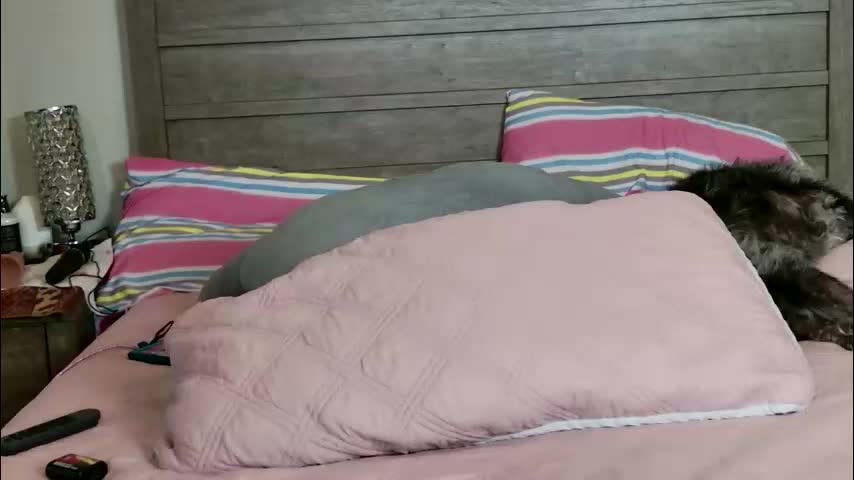 mrswadsworthy Live Sex December 13, 2025