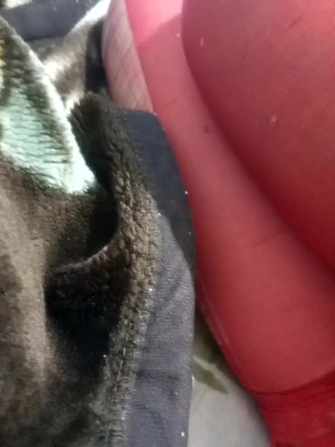 Diana17Eg Live Sex December 9, 2025