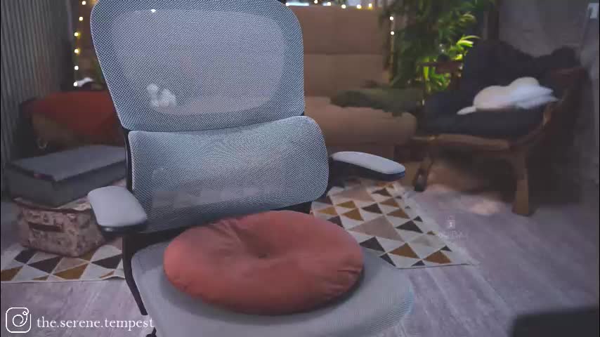 euphoriiiaa Live Sex December 14, 2025