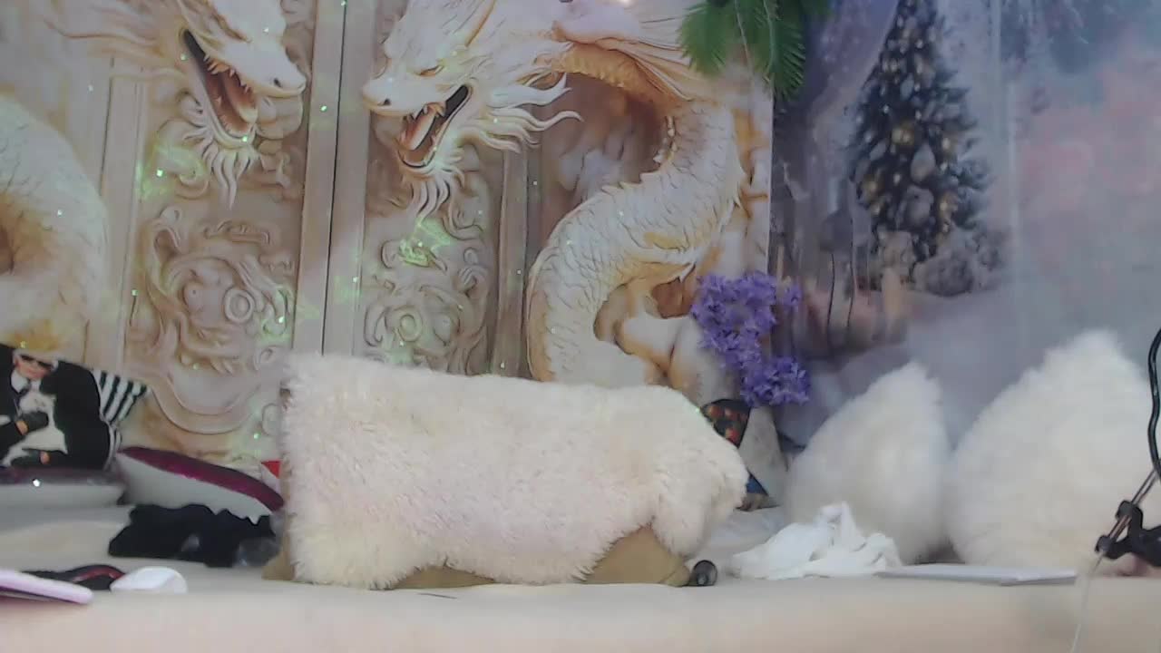 NightOrhideya Live Sex December 11, 2025