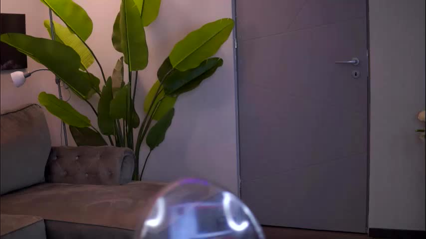 ellieredd Live Sex December 11, 2025