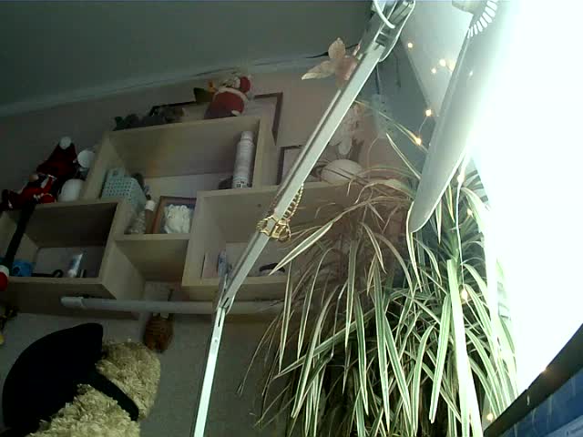 Bella1ove Live Sex December 13, 2025