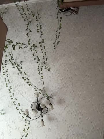 AmmyHot Live Sex December 11, 2025