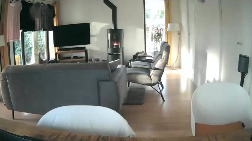 woodwurm Live Sex December 17, 2025