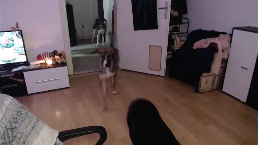 aliens4twenty Live Sex 2025.12.14