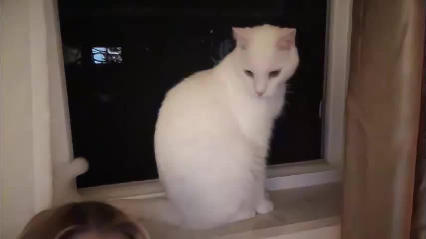 _chelsea___ Live Sex December 17, 2025