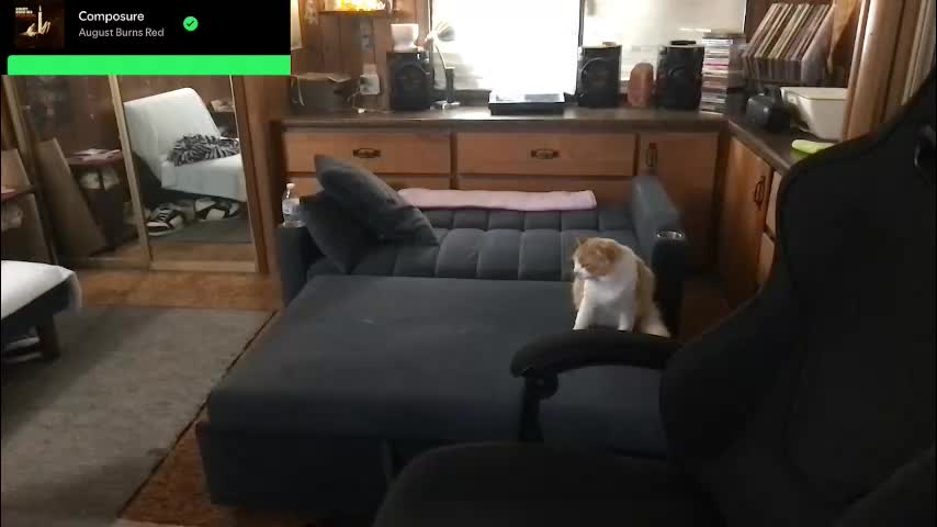 incognitoqueen Live Sex December 17, 2025