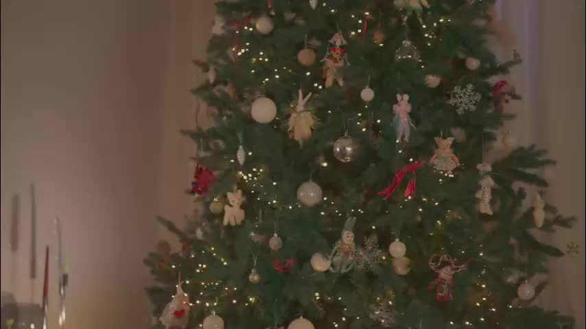 _2strangers Live Sex December 17, 2025