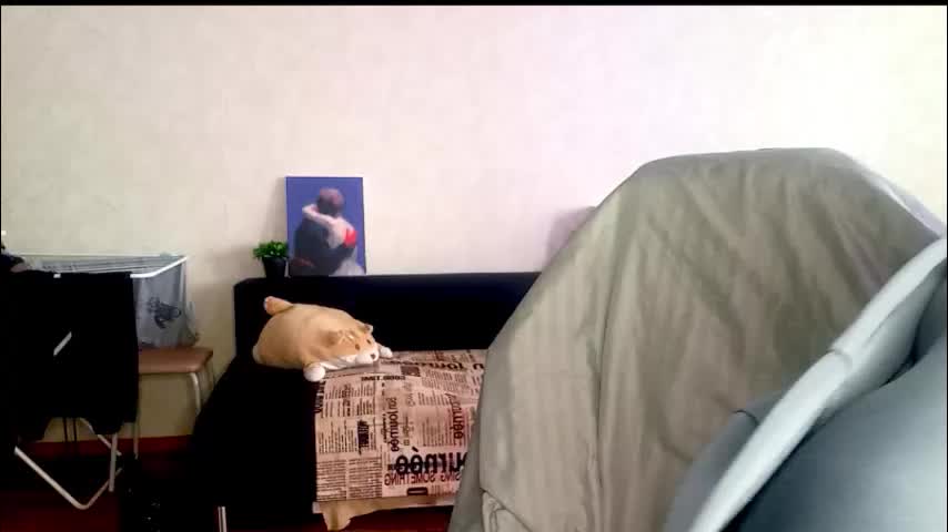 sonya_mikki Live Sex December 17, 2025