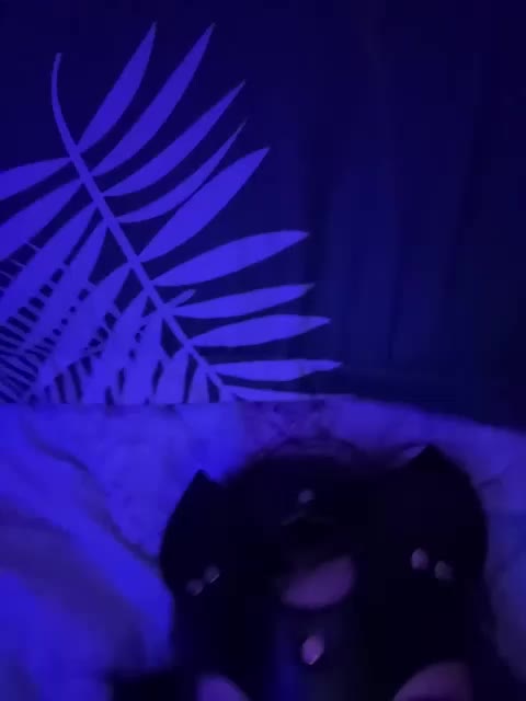 SashaXXXtasy Live Sex December 17, 2025