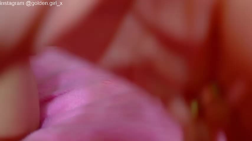 Akilla_Queen Live Sex December 17, 2025