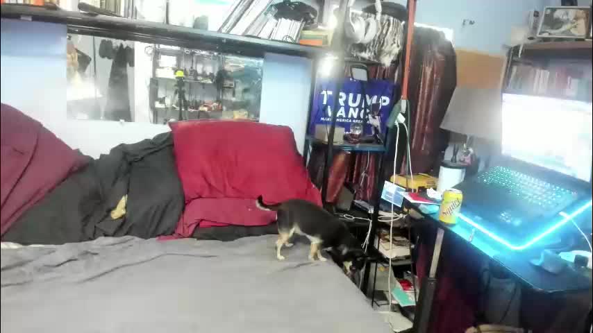 pink_black Live Sex December 17, 2025