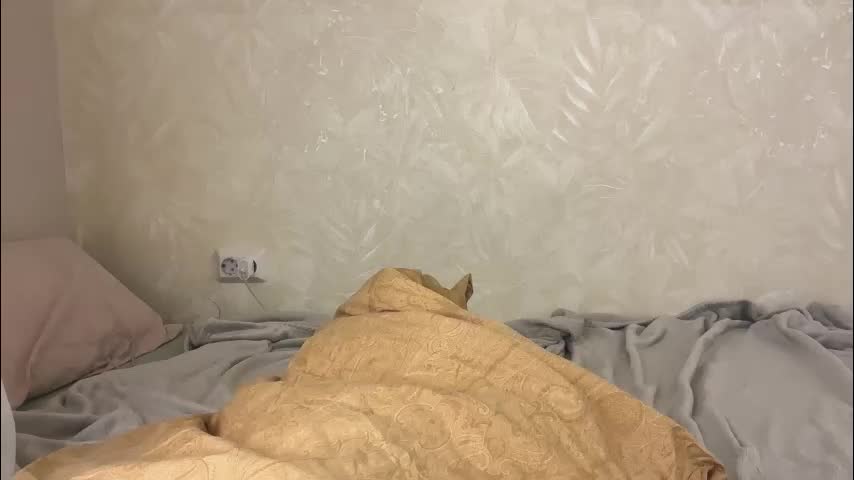 fflloowweerr Live Sex December 17, 2025