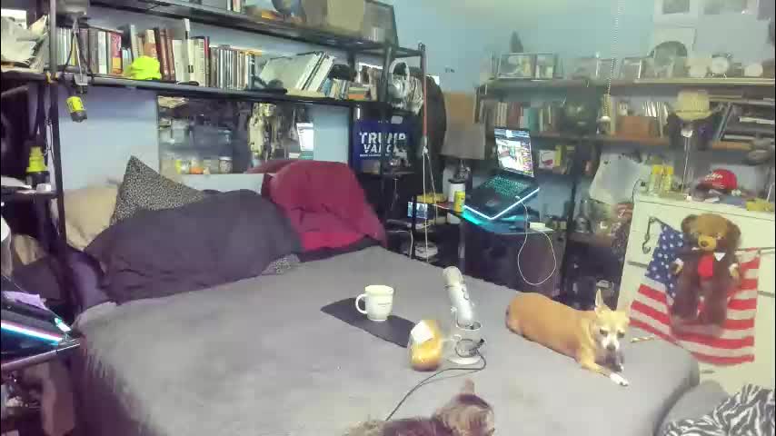 pink_black Live Sex December 17, 2025