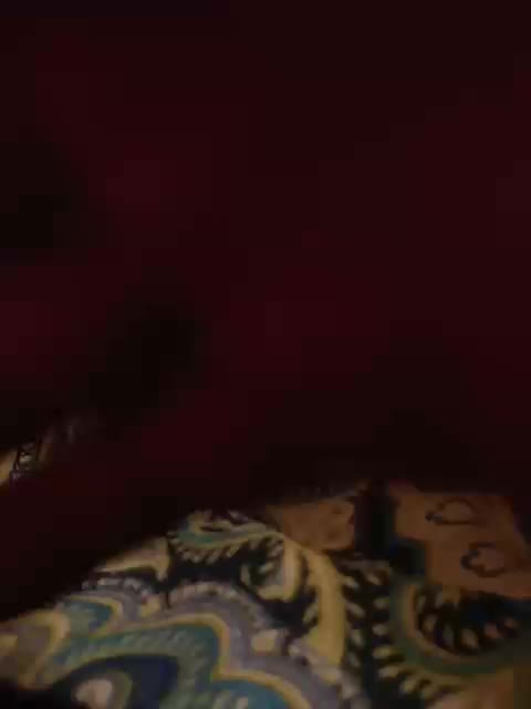 Nepechalka Live Sex December 17, 2025