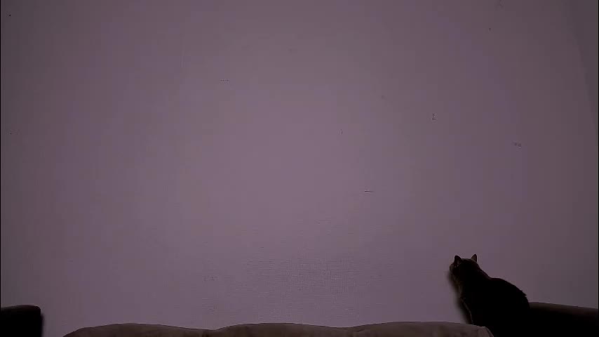 ladytrep Live Sex December 17, 2025