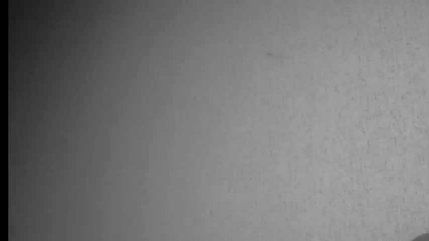 Gospozha-888 Live Sex December 17, 2025