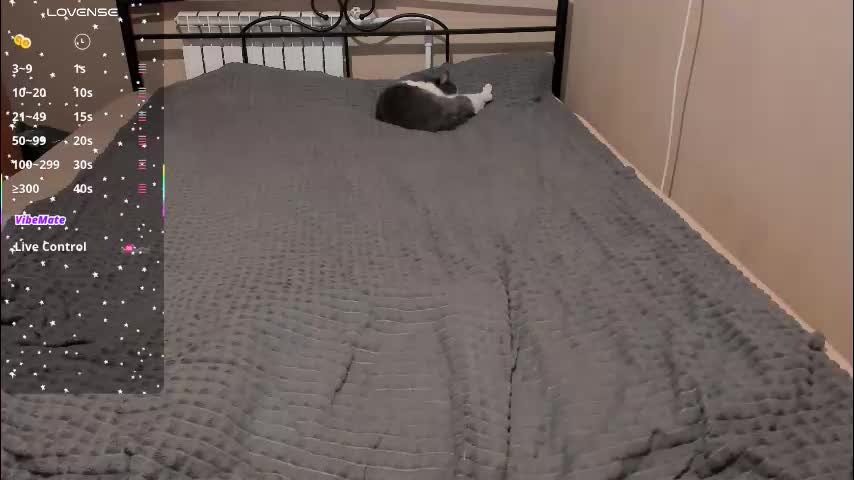 eva_zero Live Sex 2025.12.17