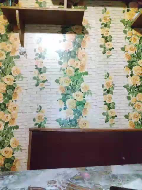 Freken-Bok Live Sex December 17, 2025